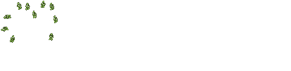 AfriCAN
